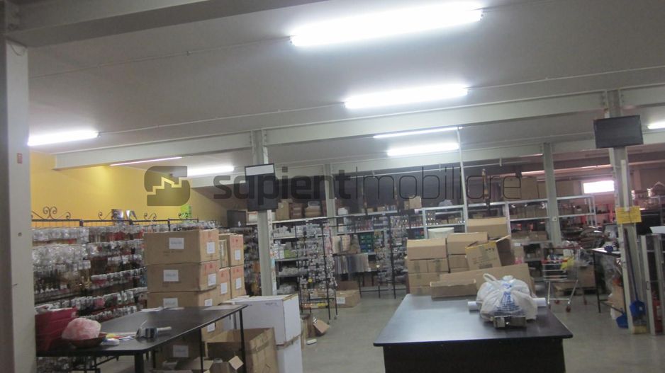 Sapient | Hală Industrială – loc. Borș, jud. Bihor - Poză 5