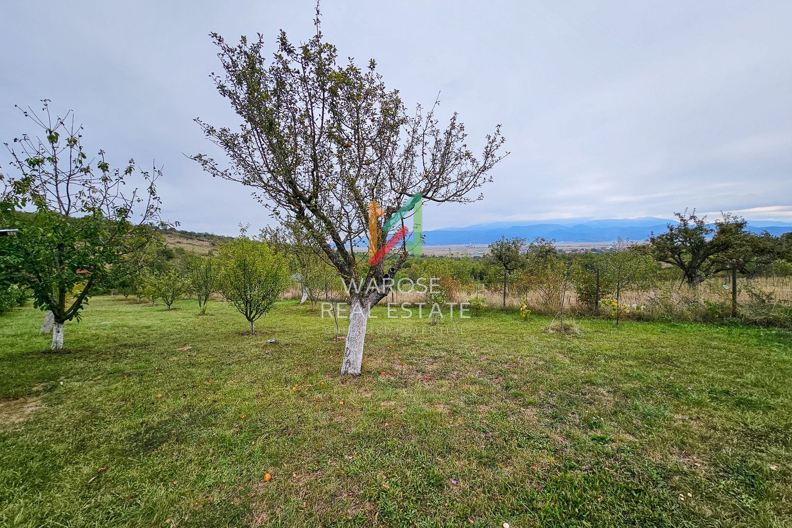 Teren Investitie- 1730 mp-Cabana construita 60 mp - Poză 18