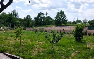 Casă ecologică hempcrete | 11 ari teren | Tăuții de Sus - Poză 16
