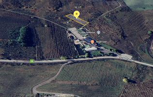 Teren extravilan Falticeni –4.000 mp