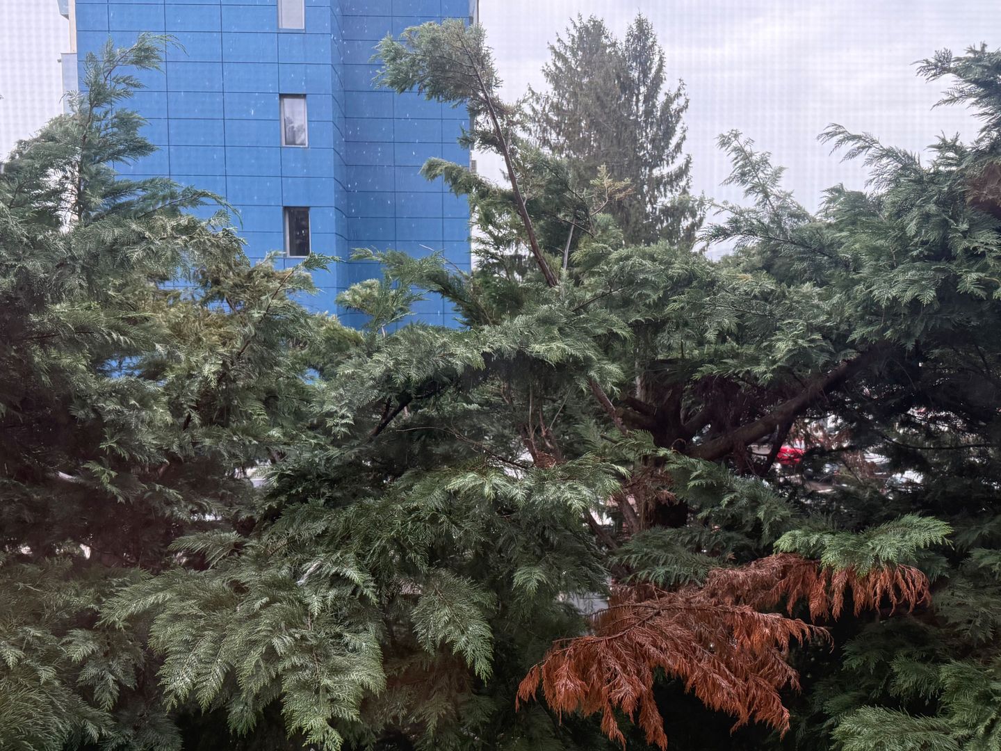 Garsonieră 24 mp - renovată, mobilată și utilată complet - Campina - Poză 12