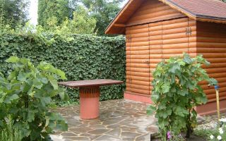 Vanzare | Casa | Otopeni Fermei | 2 Parcari | Curte libera 300 mp - Poză 8