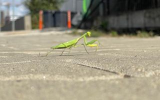 OFERTA INCHIRIATA  -  Parcare Subterana-3 camere, 2 bai | 2 niveluri&2 balcoane - Poză 32