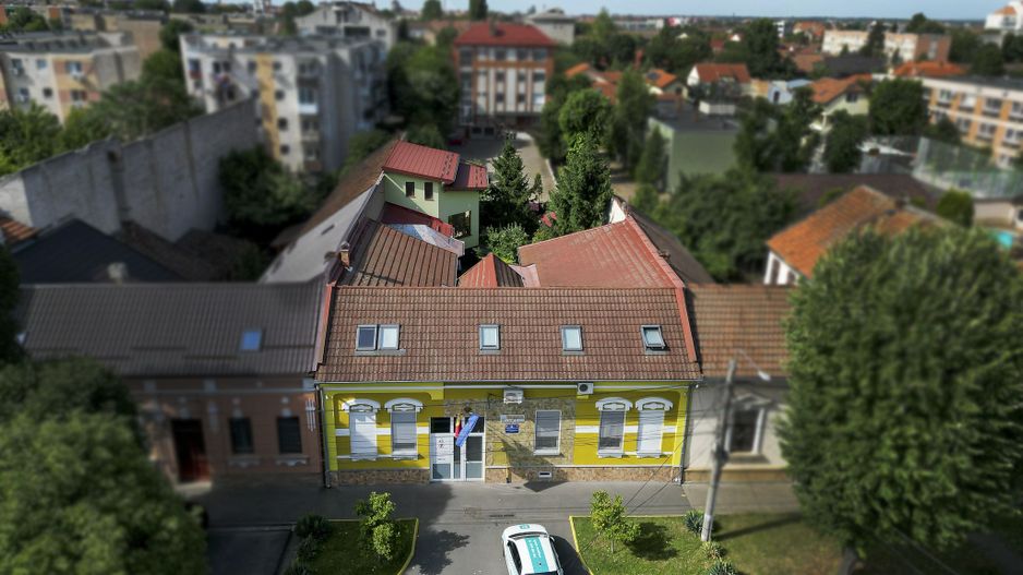 Vilă cu 7 dormitoare Centru, Arad - Poză 3