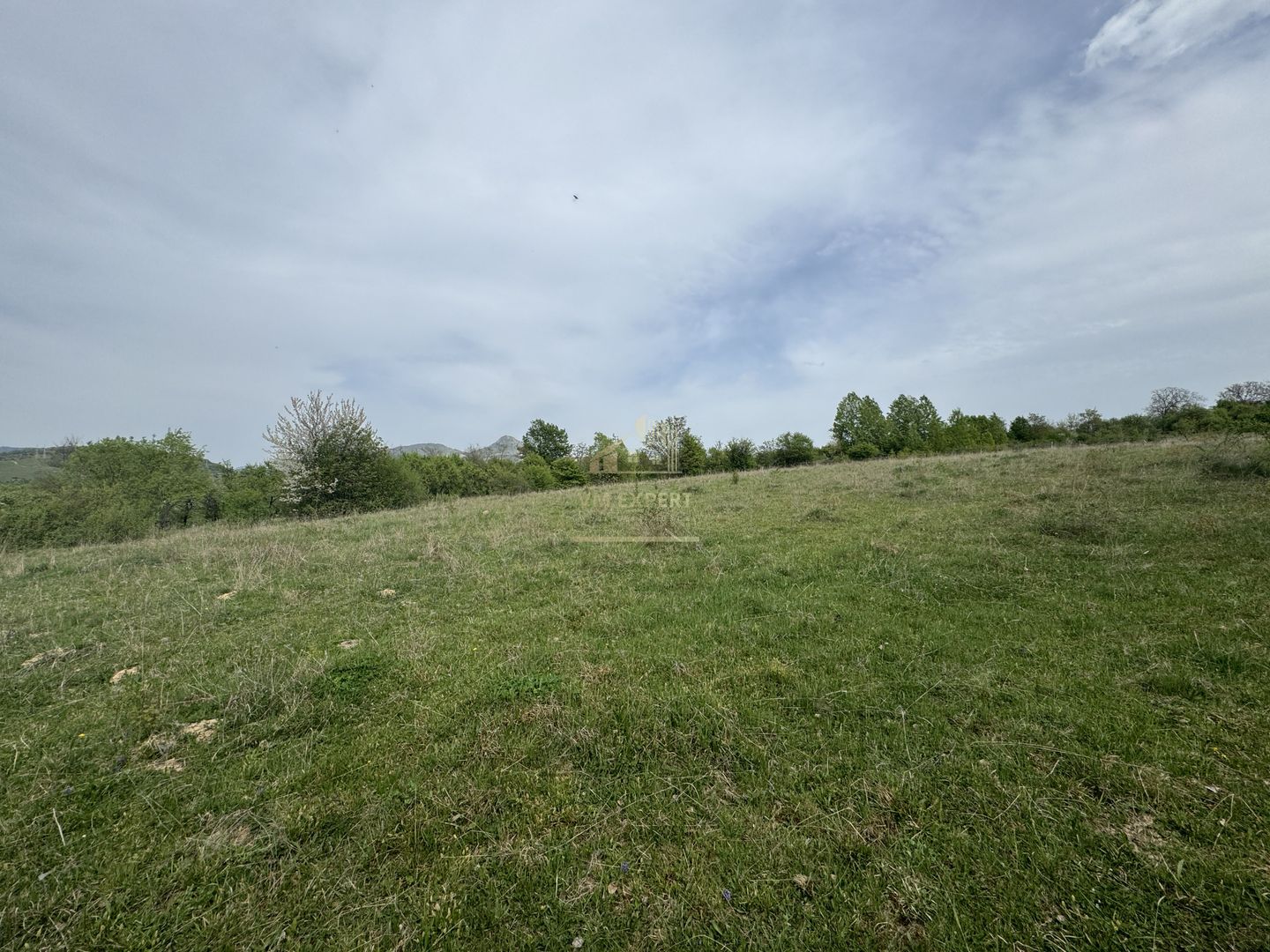 TEREN INTRAVILAN, 7472 MP, VALEA MARE PRAVAT, ARGES - Poză 10