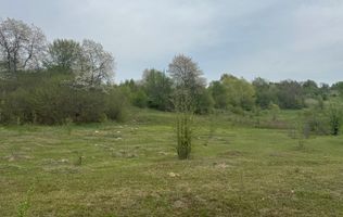 TEREN EXTRAVILAN 40000 MP, ALBESTI DE MUSCEL, CANDESTI