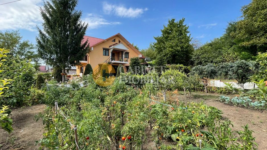Vila Miroslava 5 camere - 1000 mp teren - mobilata - Poză 5