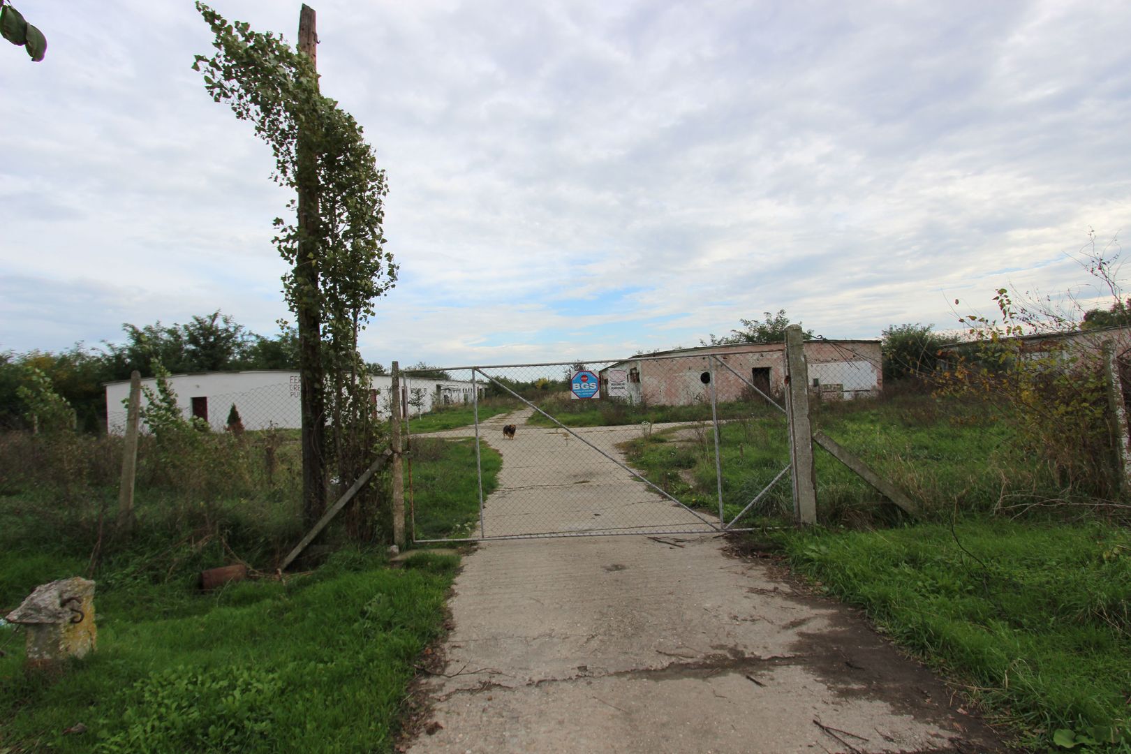 Vanzare hale Mosnita Noua-fosta Ferma 7 - Poză 22