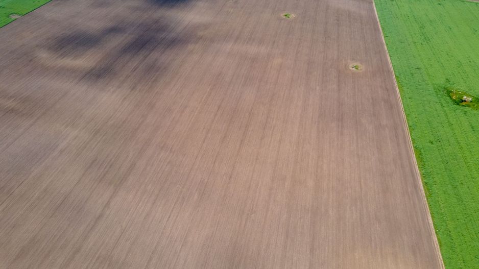 Teren de 5Ha în Satchinez. - Poză 8