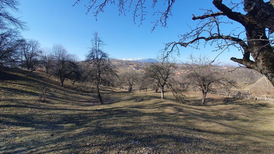 Bran-Sohodol, Teren 4039mp cu casă bătrânească, utilități, comision zero. - Poză 11