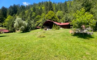 Proprietate deosebita de vanzare – Voinesița, Comuna Voineasa - Poză 7