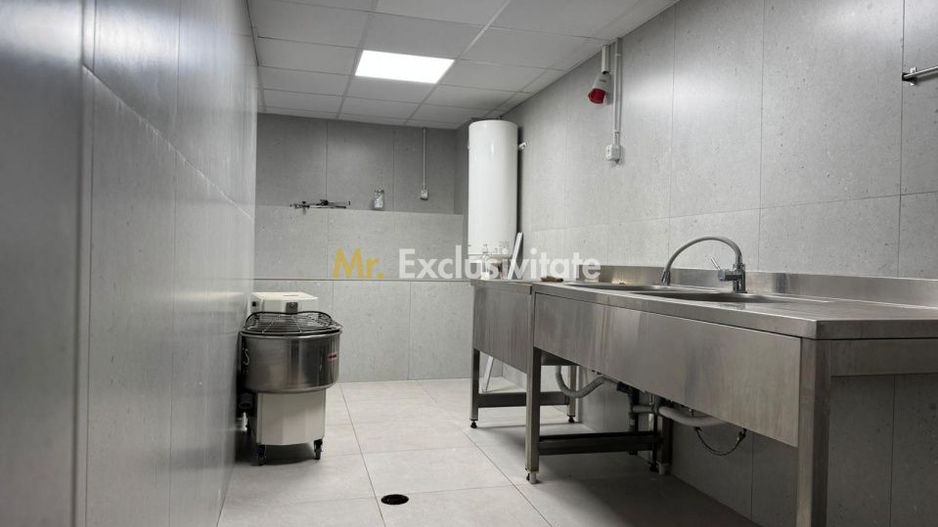 Spatiu Comercial 336 mp - Ultracentral, Piata Victoriei (Investitie) - Poză 2