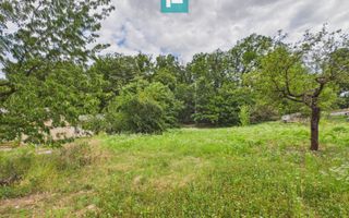 Teren intravilan, 818 mp, Gh. Doja langa padure - Poză 3