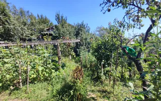 Casă cu 3 camere | 120 mp | Finisaje clasice | Dâmbul Rotund - Poză 11