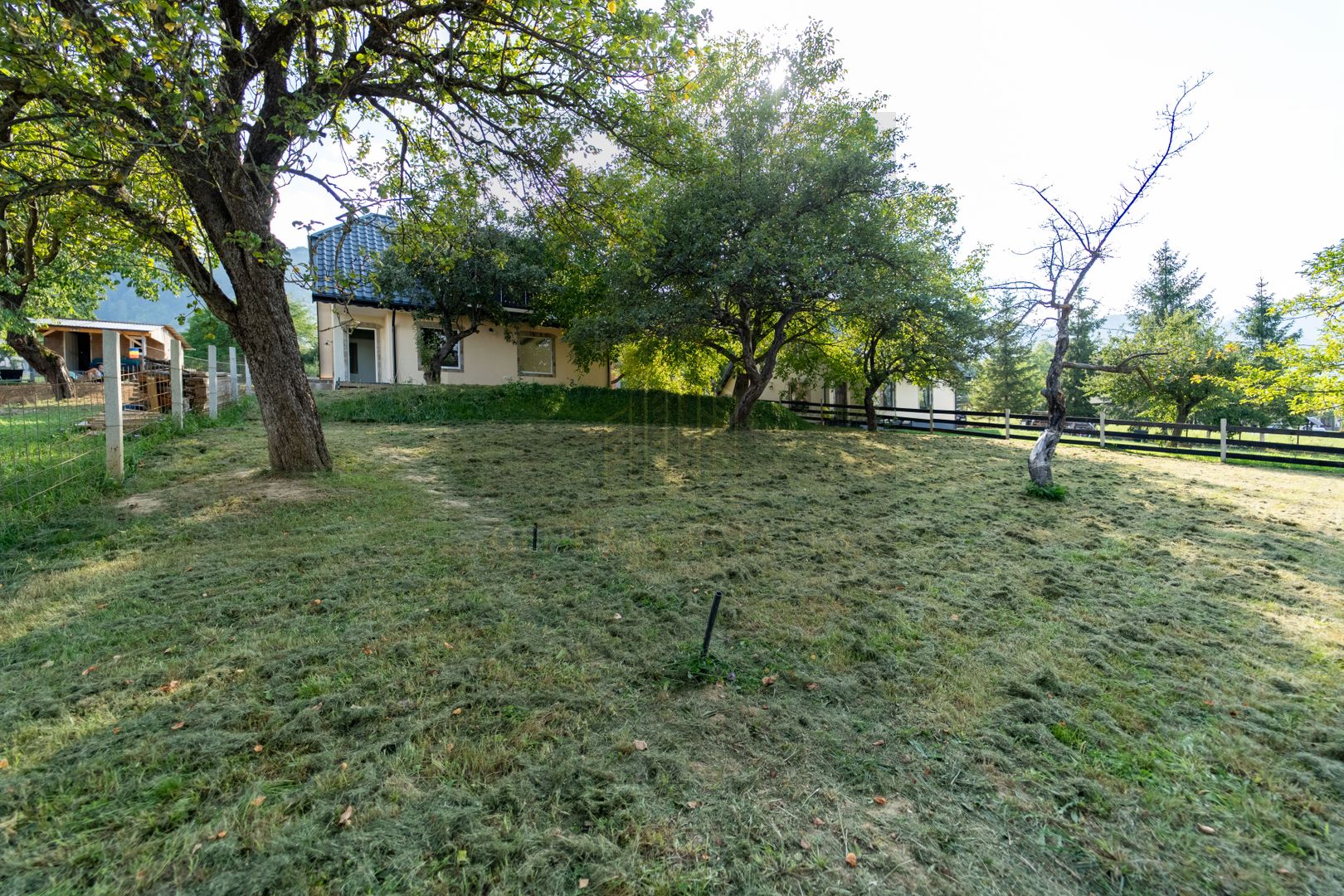 Casa de vacanță din Tohănița – locul unde muntele întâlnește liniștea - Poză 26