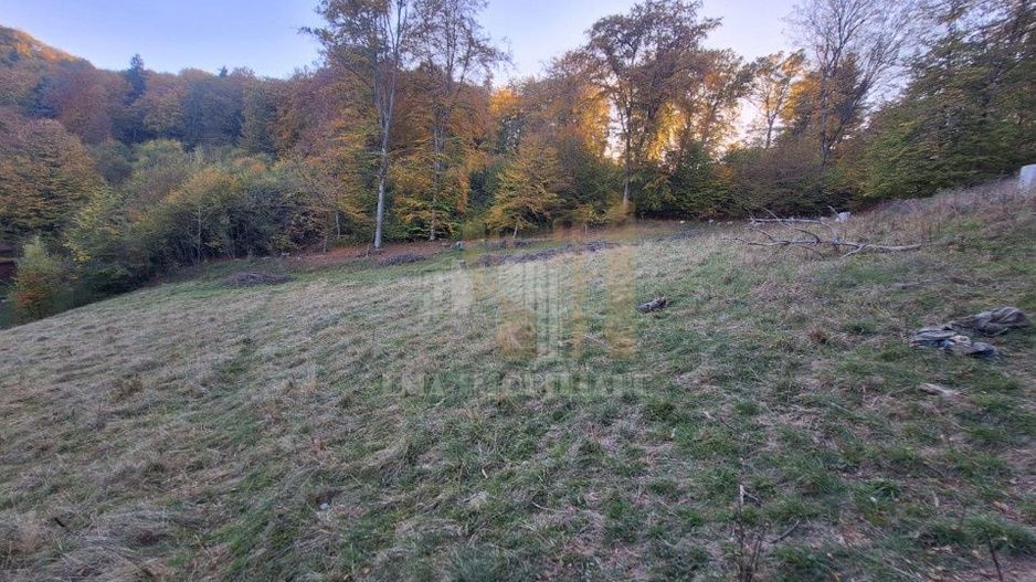 Teren intravilan Brasov Strada Ciresului 2900 mp - Poză 5
