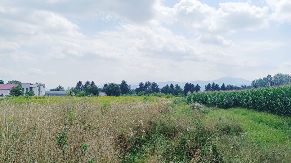 Teren intravilan in stupini,str.Bustenilor - Poză 1