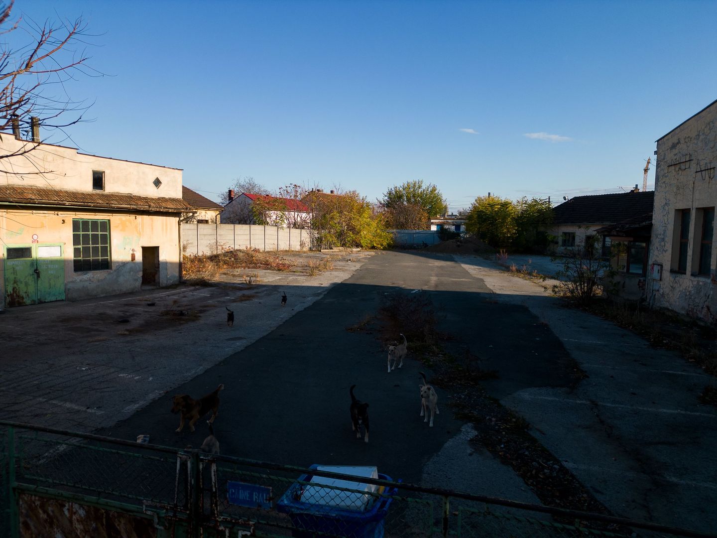 Imobil în suprafață de 3151mp pe Str.Ardealului - Poză 4