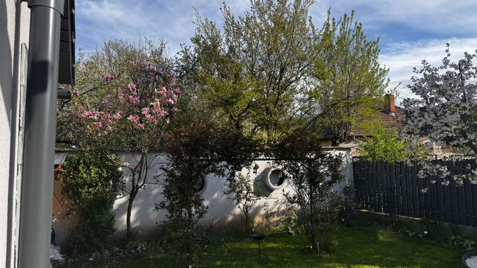 CASĂ PREMIUM | CARTIER NOUA – BRAȘOV | 517 MP TEREN - Poză 3