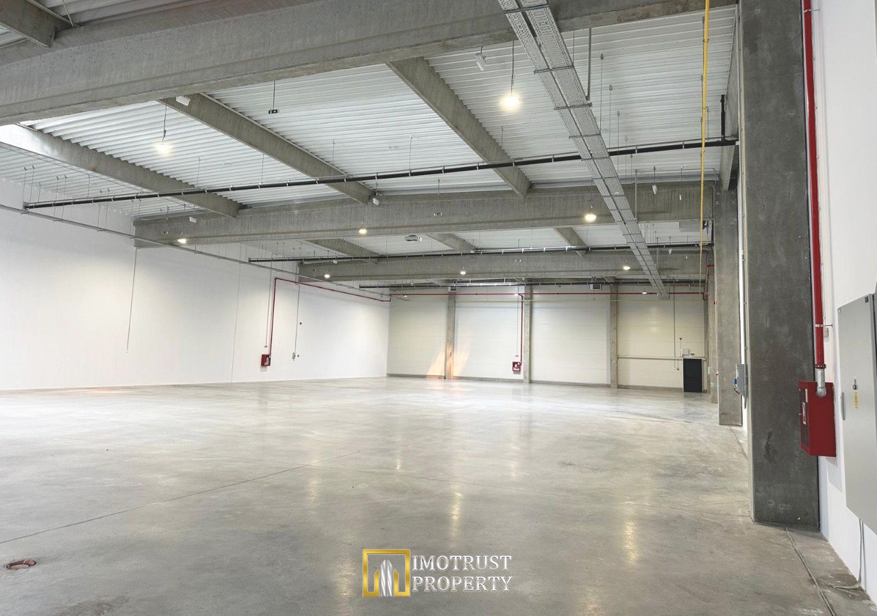 Hala industriala moderna – 1.162,05 mp depozit | Arad - Poză 5