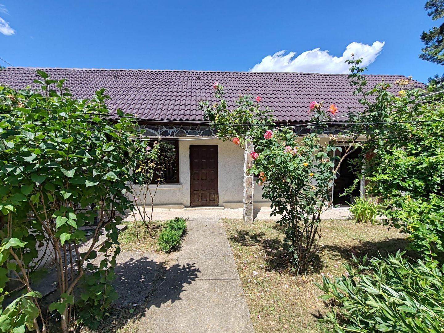 Casa si gradina-95000euro-Picioru Lupului-Comuna Ciurea - Poză 6