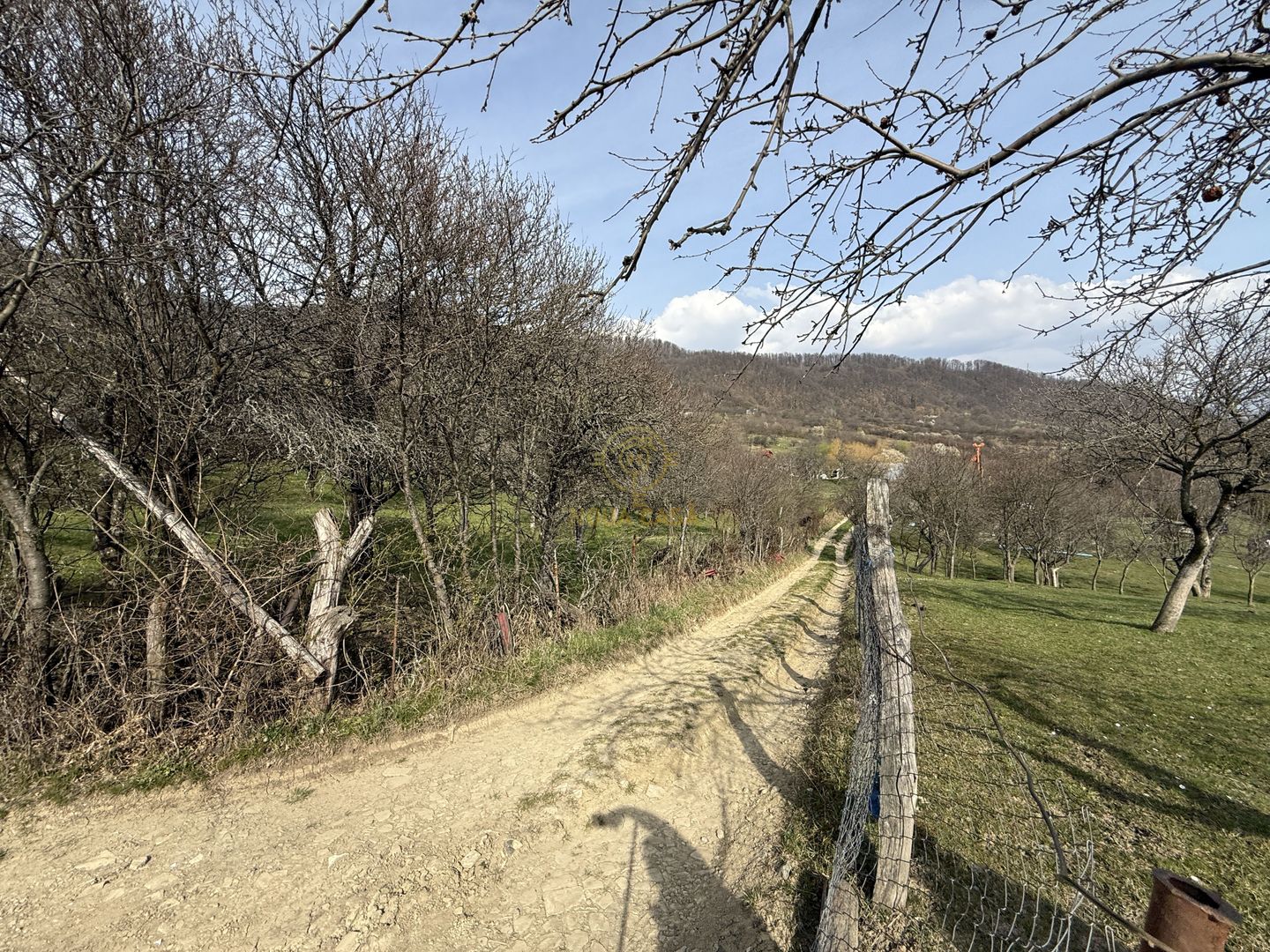 OPORTUNITATE !Teren 1 Hectar Strada Nucului -PRIVELISTE PANORAMICA - Poză 6