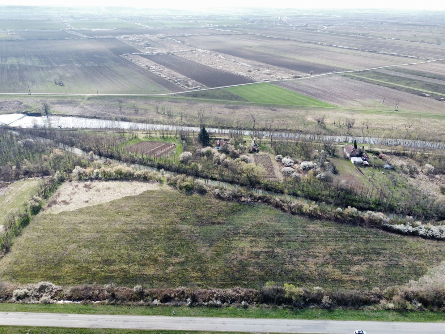 Teren intravilan Balint 22.500 mp - Poză 3