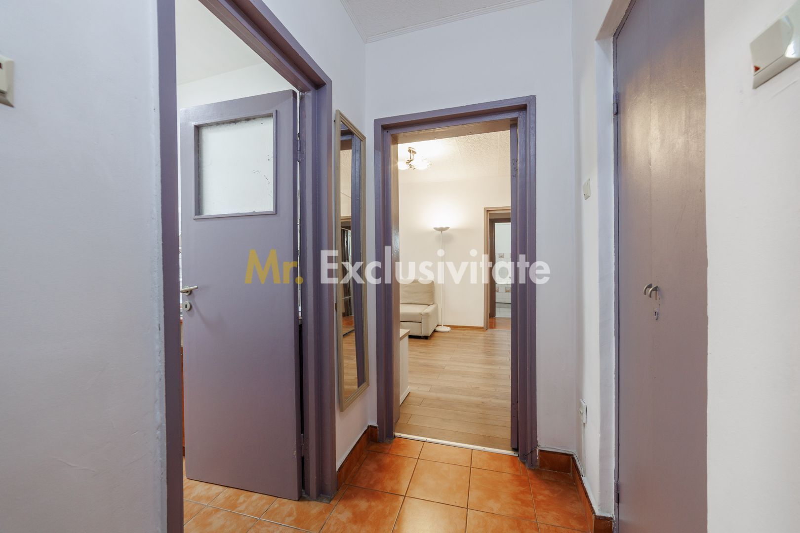 Apartament 2 camere, etaj 3, zona Traian - Poză 13