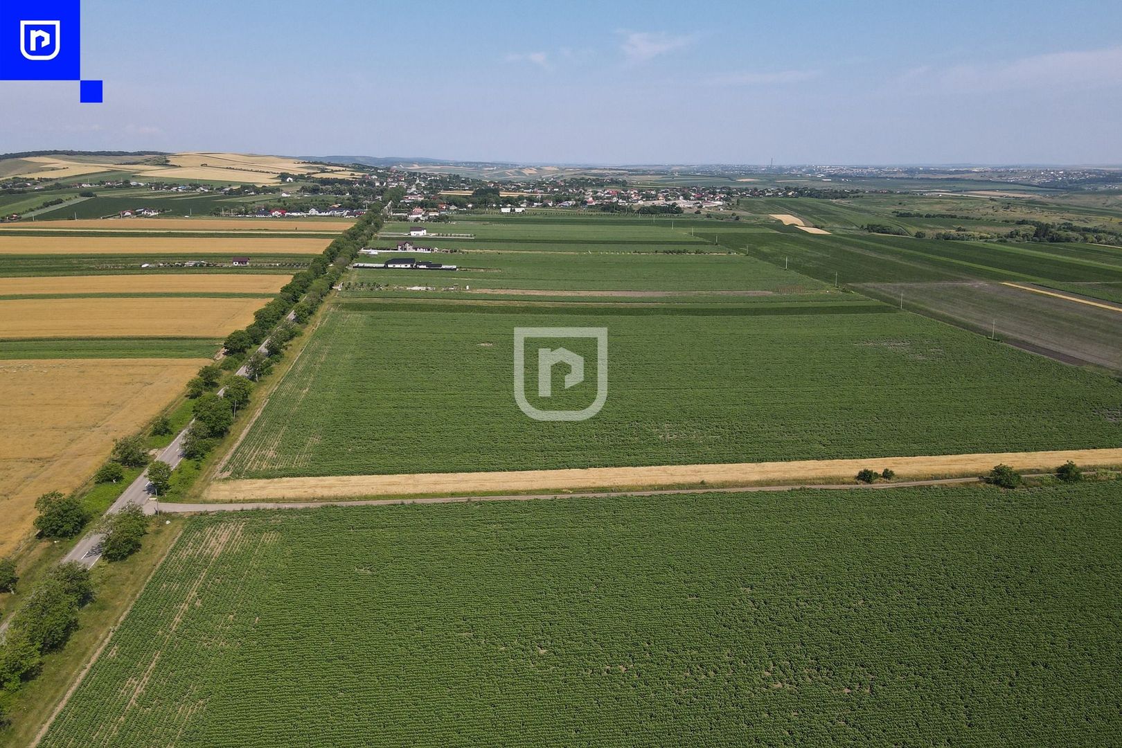 Teren - Orășeni Deal, Curtești | BOTOȘANI | 10.000mp - Poză 4