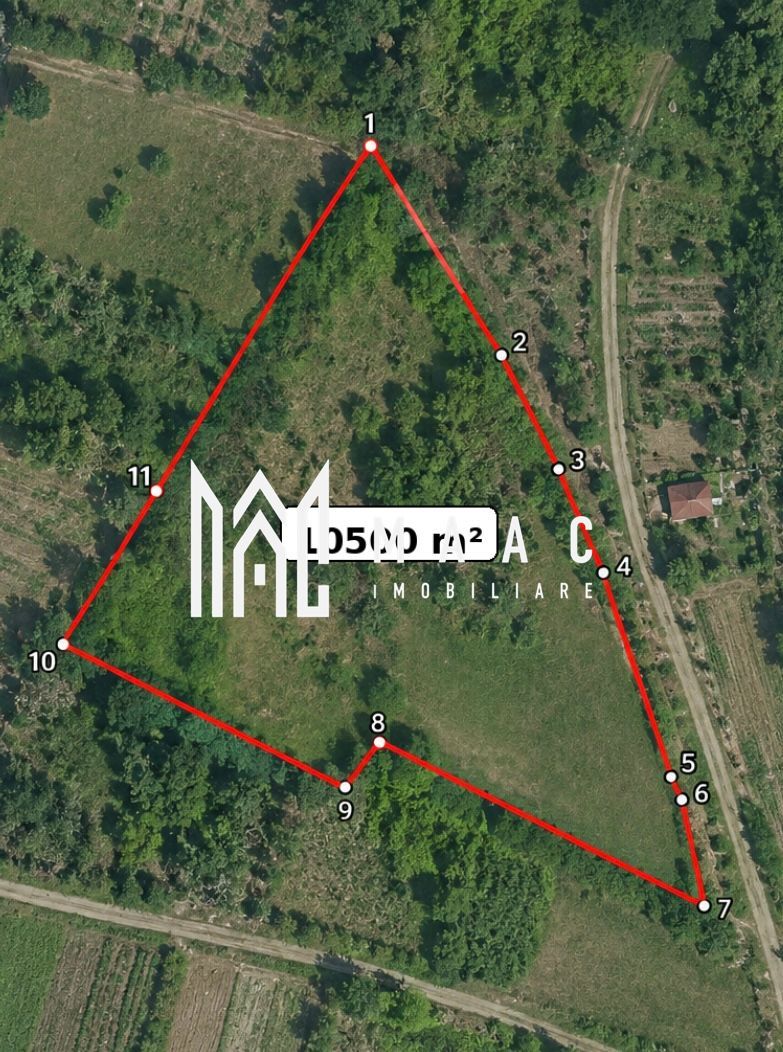 Teren 10500MPU I Daia I Acces 2 drumuri I Ideal Construcții I Cabana - Poză 2