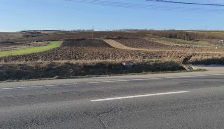 Teren intravilan 15600 mp ( 4 parcele )Livada Cluj