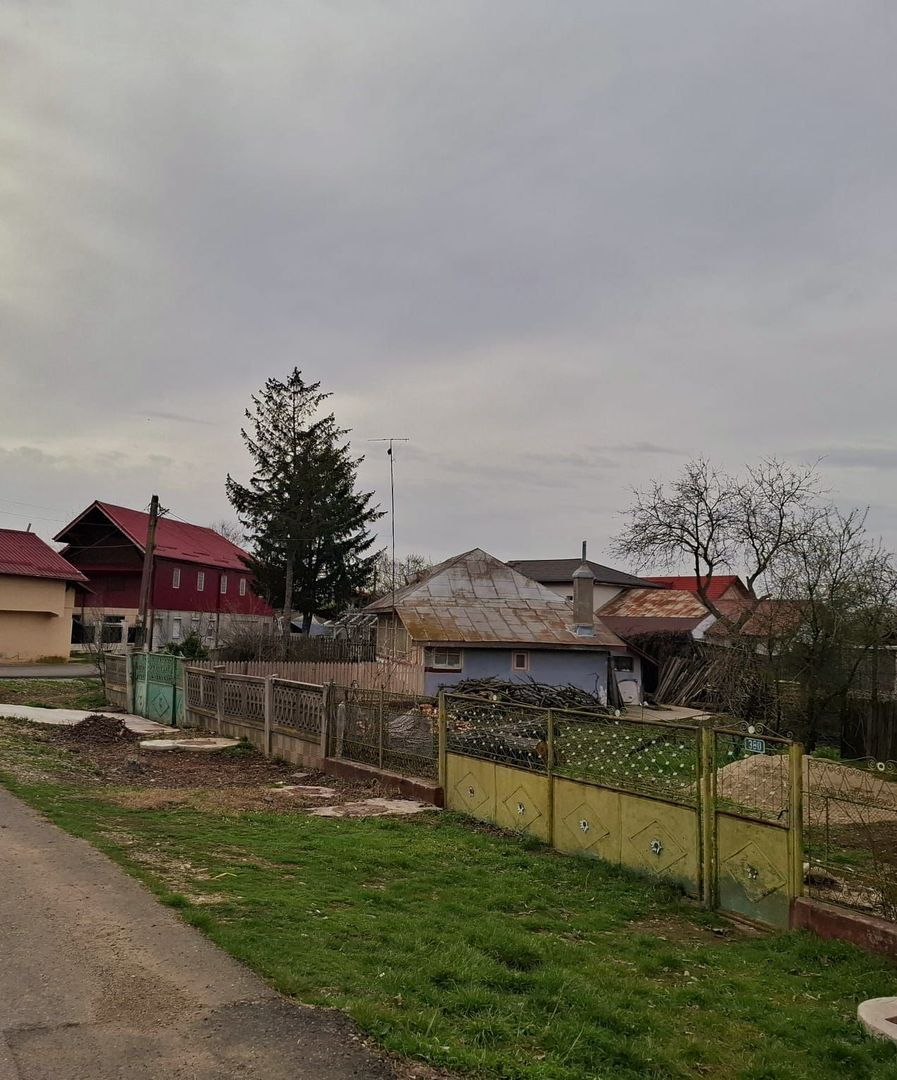 Crevedia - Darza , teren si casa batraneasca - Poză 3