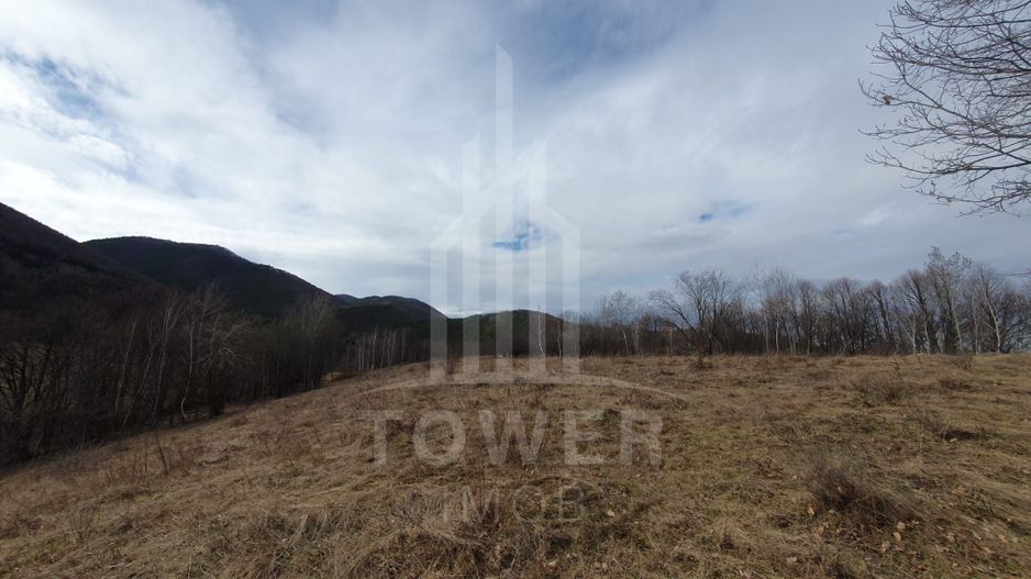 Teren Intravilan 2.938 mp | Tocile - Poză 7