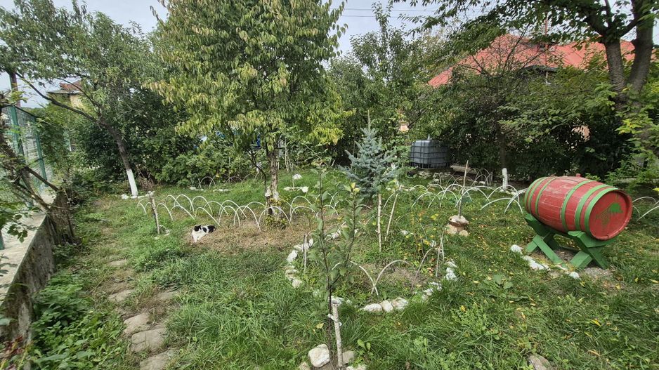 Vila 4 camere + teren 818 mp central Provita de Sus (lângă școală) - Poză 54