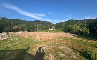 TEREN INTRAVILAN 3296 MP CAMPULUNG ARGEȘ - Poză 10