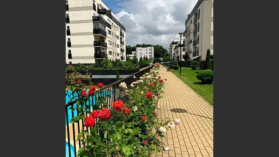 Apartament 3 camere | Natura Residence | Zoo - Poză 4