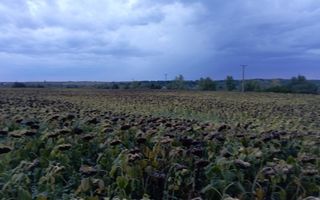 Teren de 4500 mp în Holboca, aproape de Cristești, la 3,5 EUR/mp - Poză 1