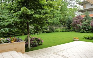 Vila impresionantă cu 15 camere, situată în zona Barbu Văcărescu - Poză 11