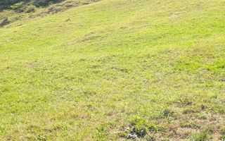 Oportunitate!Teren intravilan 61.38400mp-Parcelabil-utilitati-Colibita - Poză 4