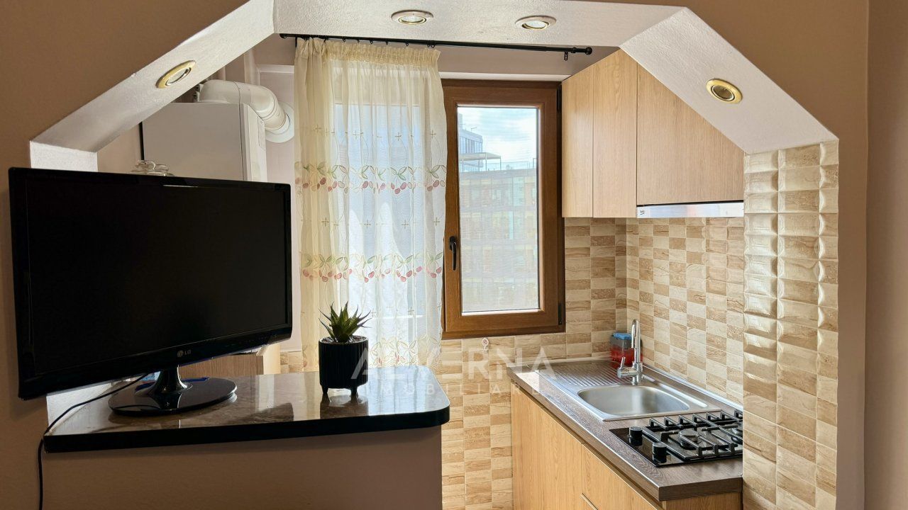 Apartament 1 camera | 31mp | Petfriendly | semidecomandat | Centru - Poză 8