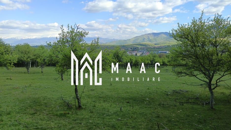 Teren Extravilan I Cisnadie I 3.506 MP - Poză 2