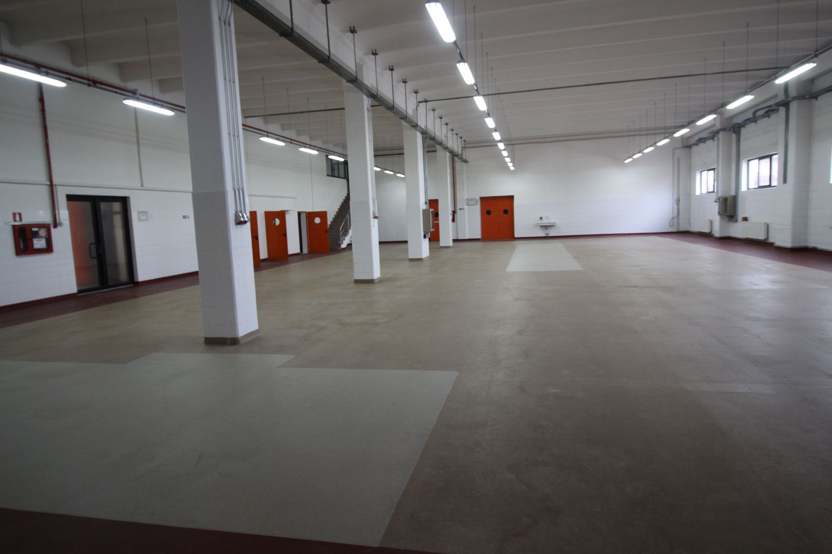 Hala productie    - Calea Torontalului de vanzare - Poză 6