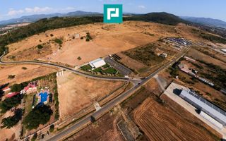 TEREN EXTRAVILAN 10.000 MP SEBIȘ - Poză 7