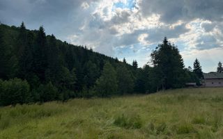 PARCELE DE VÂNZARE, pe malul râului BÂSCA, COMANDAU, COVASNA - Poză 8