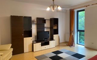 Apartament cu 1 camera centrala proprie situat in zona Braytim - Poză 2