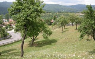 Teren intravilan 3214 mp în Rucăr cu deschidere 56 m în DN73 - Poză 1