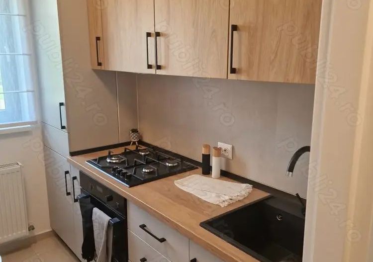 Inchiriere apartament 2 camere in HIls Brauner Pallady - Poză 5