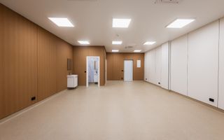 Spatiu tip Cabinete medicale, 57-500mp, Zona Palas, 23euro/mp - Poză 1