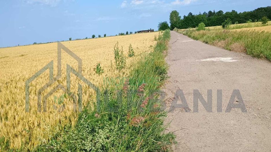 Teren extravilan de 5000 mp în Valea Ursului, vânzare - Poză 5