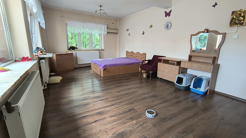 Calea Grivitei- Podul Grand - Poză 9